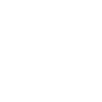 WWV_logo_icon_white